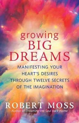 Growing Big Dreams: Manifesting Your Heart's Desires Through Twelve Secrets of the Imagination - Robert Moss - cover