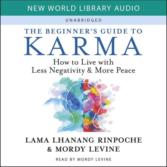 Beginner's Guide to Karma, The