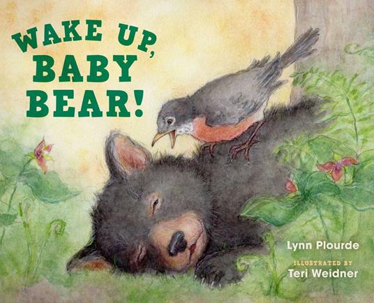 Wake Up, Baby Bear! - Plourde Lynn,Teri Weidner - ebook
