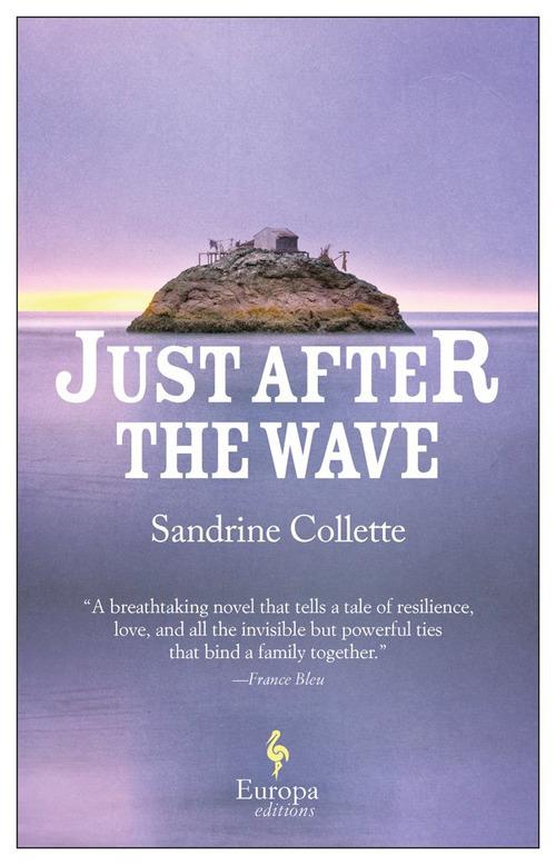 Just after the wave - Sandrine Collette - copertina