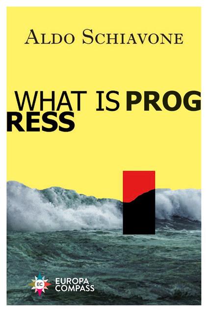 What is progress - Aldo Schiavone - copertina