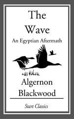 The Wave: An Egyptian Aftermath