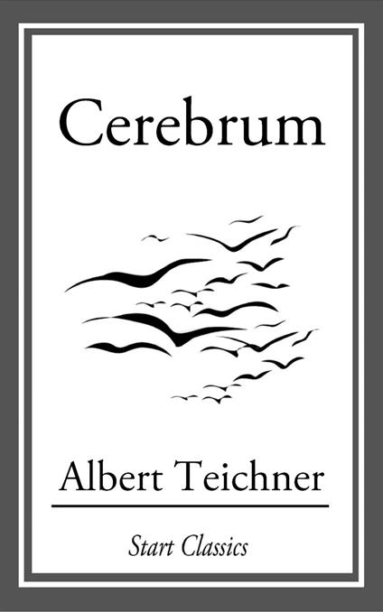Cerebrum