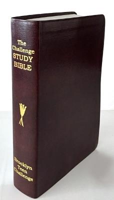 CEV Challenge Study Bible-Flexi Cover - Don Wilkerson - cover