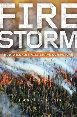 Firestorm: How Wildfire Will Shape Our Future - Edward Struzik - cover