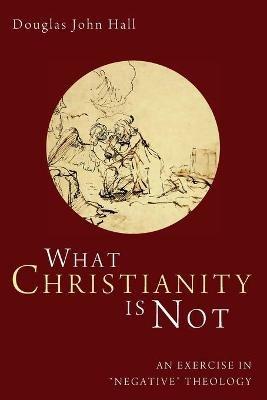 What Christianity Is Not: An Exercise in Negative Theology - Douglas John Hall - cover