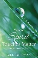 Where Spirit Touches Matter: a journey toward wholeness - Melvin R Friedman - cover