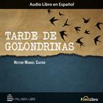 Tarde de Golondrinas