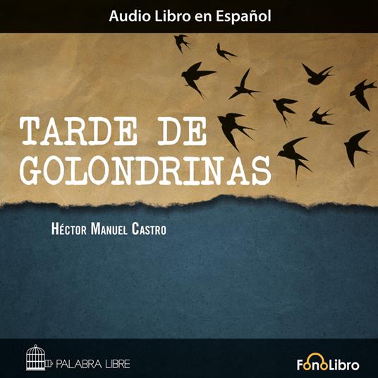 Tarde de Golondrinas