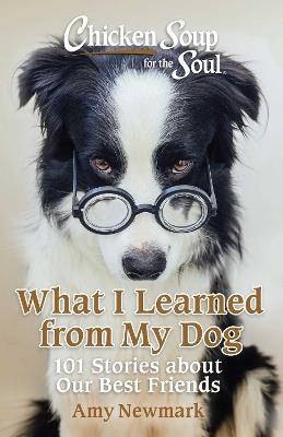 Chicken Soup for the Soul: What I Learned from My Dog: 101 Stories about Our Best Friends - Amy Newmark - cover