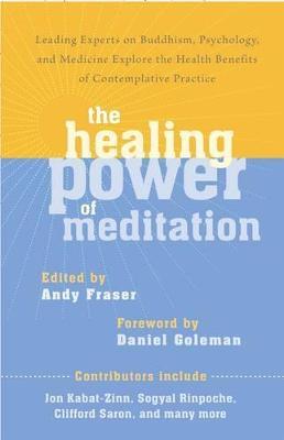 The Healing Power of Meditation: Leading Experts on Buddhism, Psychology, and Medicine Explore the Health Benefits of Contemplative Practice - Andy Fraser - cover