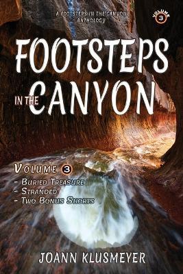 Buried Treasure and Stranded: A Footsteps in the Canyon Anthology - Joann Klusmeyer - cover