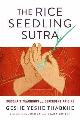 The Rice Seedling Sutra: Buddha's Teaching on Dependent Arising - Yeshe Geshe Thabkhe - cover