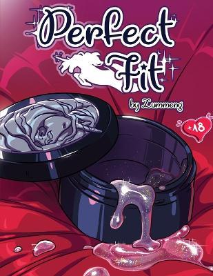 Perfect Fit - Zummeng - cover