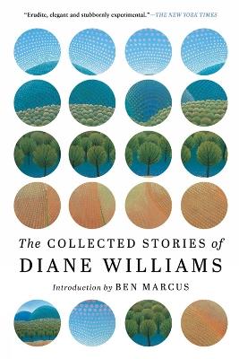 The Collected Stories of Diane Williams - Diane Williams - cover