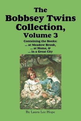 The Bobbsey Twins Collection, Volume 3: at Meadow Brook; at Home; in a Great City - Laura Lee Hope,Howard R Garis - cover