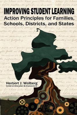 Improving Student Learning: Action Principles for Families, Schools, Districts and States - Herbert J. Walberg - cover