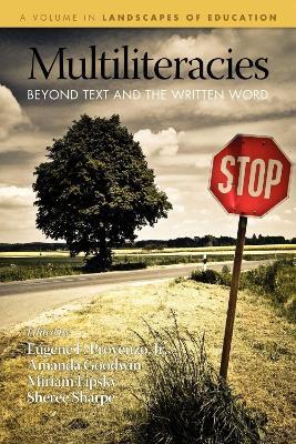 Multiliteracies: Beyond Text and the Written Word - cover