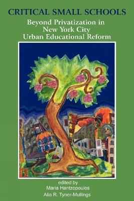 Critical Small Schools: Beyond Privatization in New York City Urban Educational Reform - cover