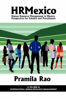 Human Resources Management in Mexico: Perspectives for Scholars and Practitioners - cover