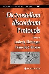 Dictyostelium discoideum Protocols - cover