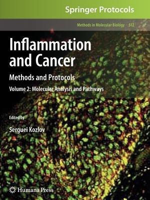 Inflammation and Cancer: Methods and Protocols: Volume 2, Molecular Analysis and Pathways - cover