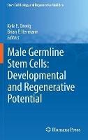 Male Germline Stem Cells: Developmental and Regenerative Potential - cover