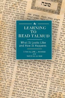 Learning to Read Talmud: What It Looks Like and How It Happens - cover