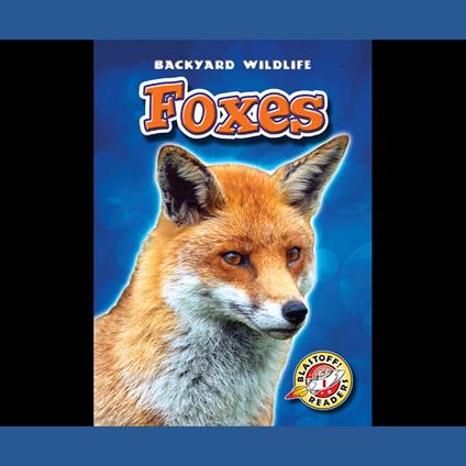 Foxes