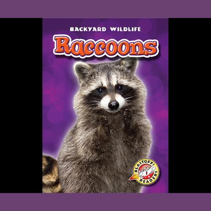Raccoons
