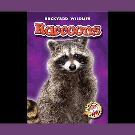 Raccoons