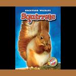Squirrels