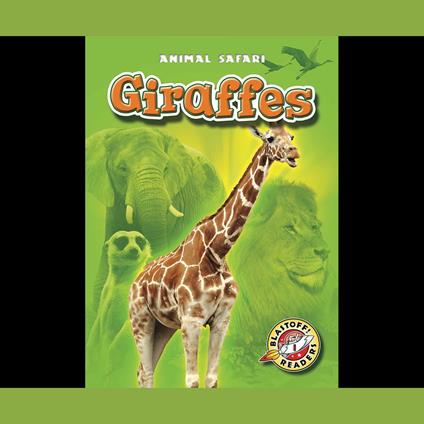 Giraffes