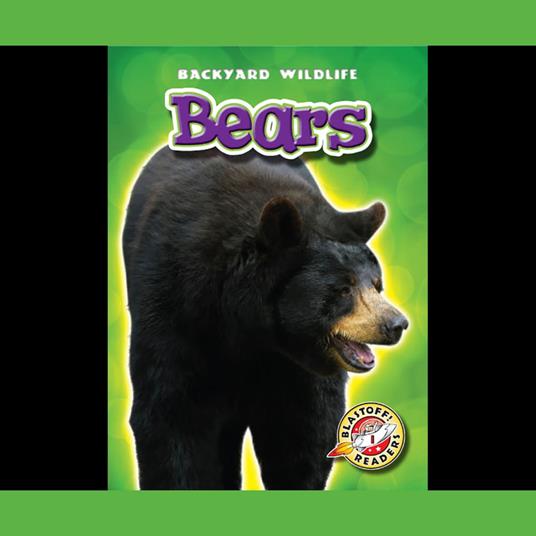 Bears
