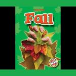 Fall