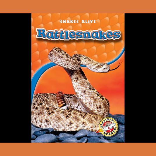 Rattlesnakes