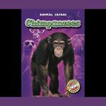 Chimpanzees