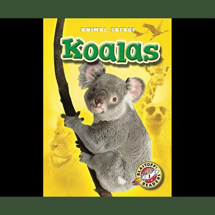 Koalas