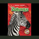 Zebras