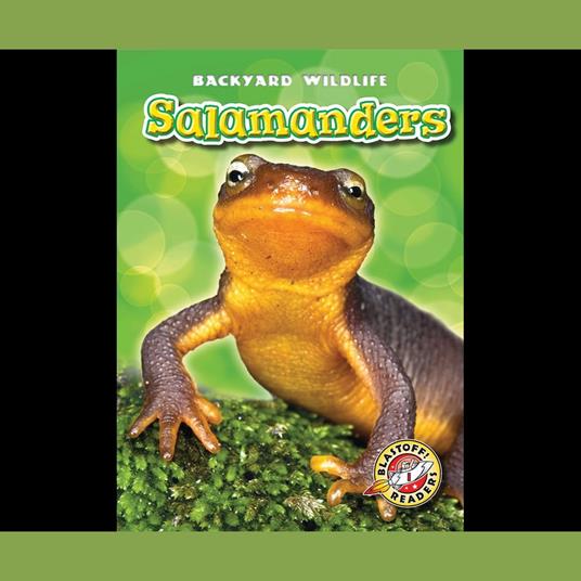 Salamanders