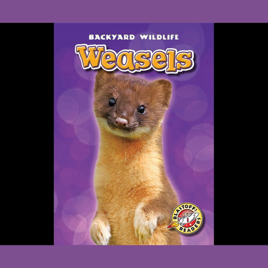 Weasels