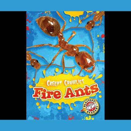 Fire Ants