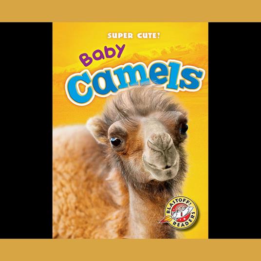 Baby Camels