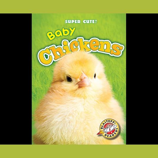 Baby Chickens