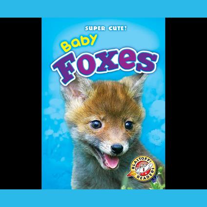 Baby Foxes