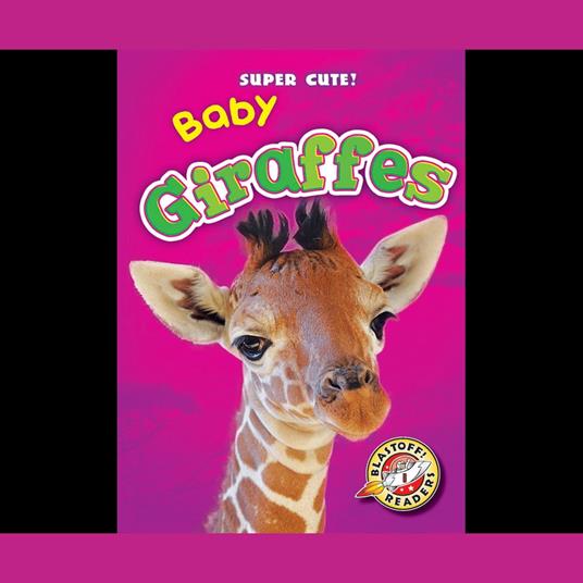 Baby Giraffes