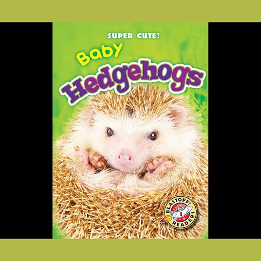 Baby Hedgehogs