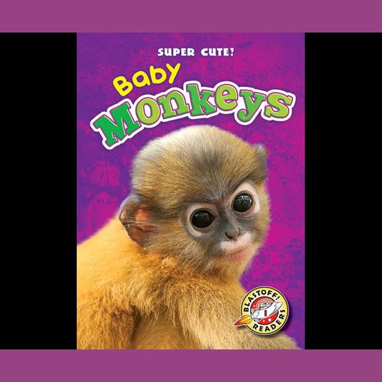 Baby Monkeys