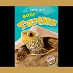 Baby Turtles