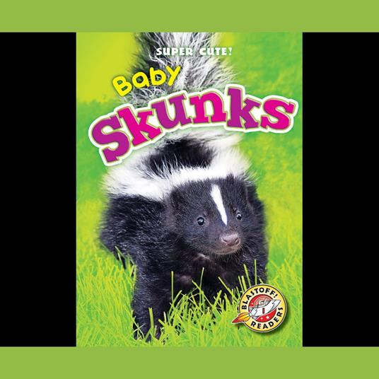 Baby Skunks